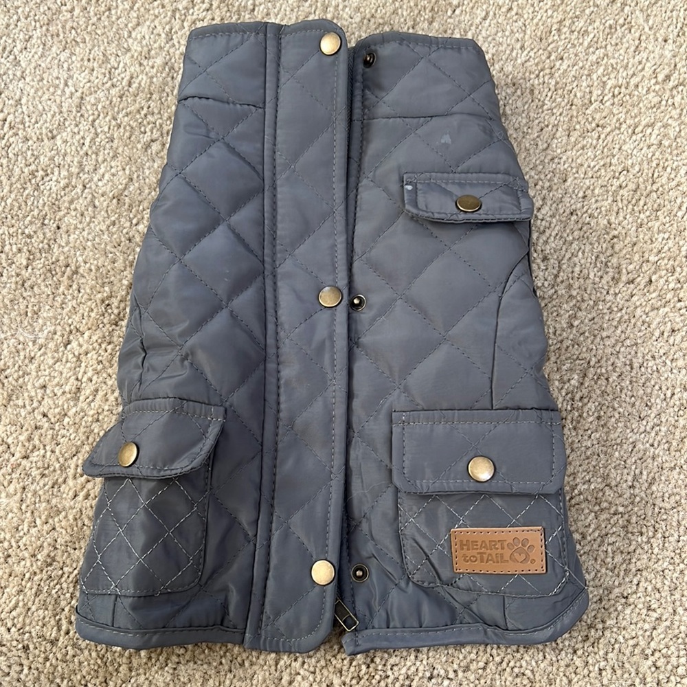 Heart to Tail Dog Coat